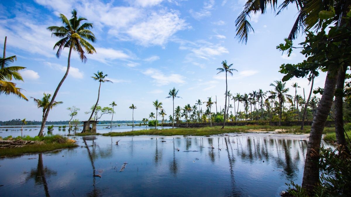 Kerala Special’s – 6/ 7 Days Package-(AV-PKG-3)
